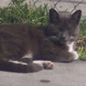 Meet your Posher, Aura